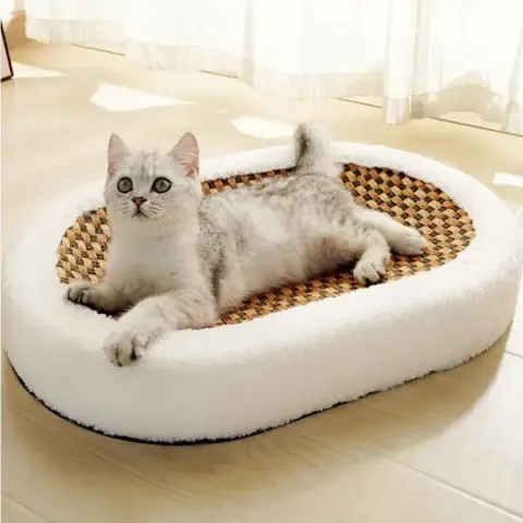 Cama-arranhador de Luxo