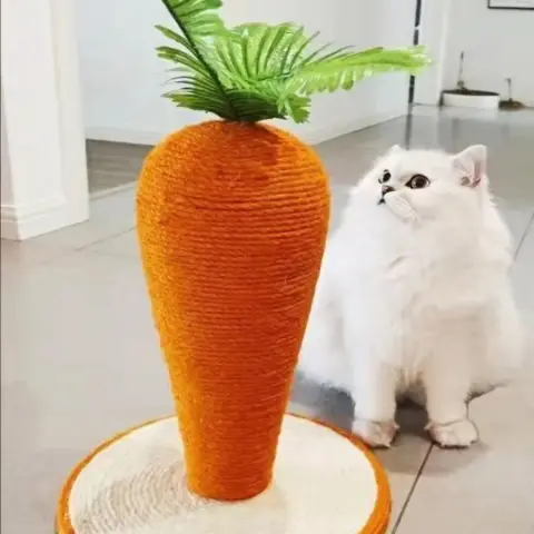 Arranhador Cenoura em Sisal