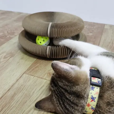 Arranhador com Bola