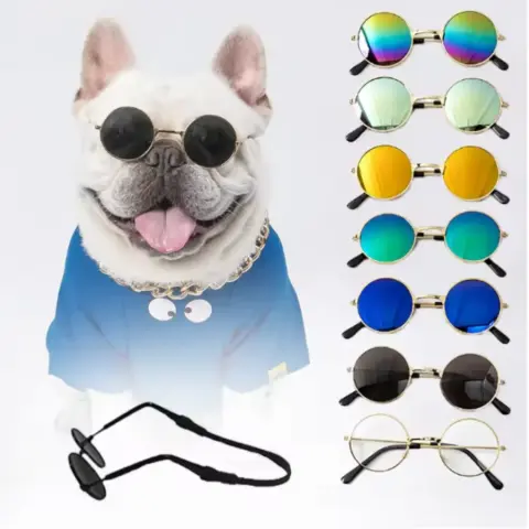 Óculos de Sol para Animais