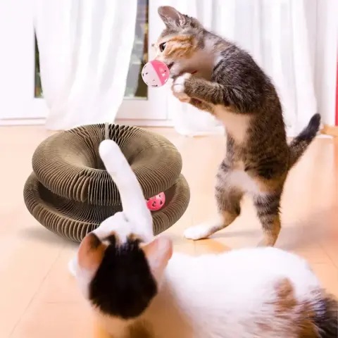 Caixa de Atividades para Gato