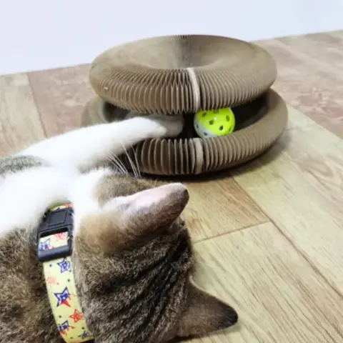Bola de Jogo e Arranhador