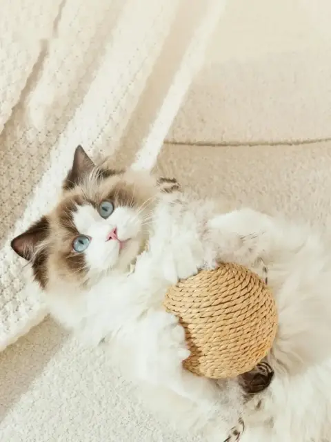 Bola de Sisal com Som (10 cm)