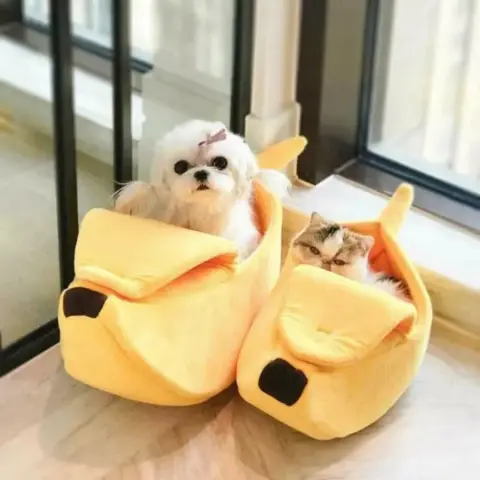 Cama Banana