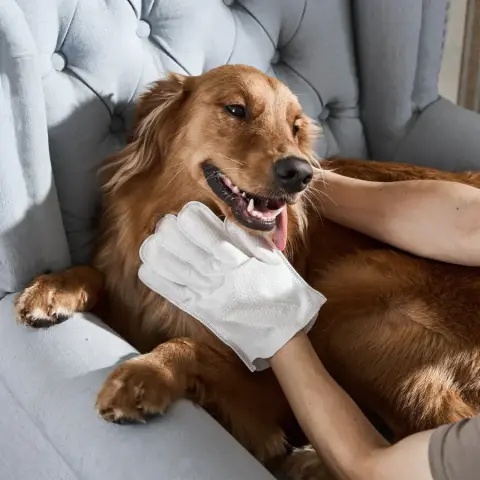 Luvas de Limpeza para Animais