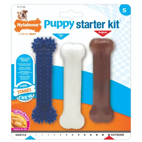 Nylabone Kit de Iniciação para Cachorros