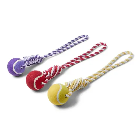 Bola de Ténis com Corda