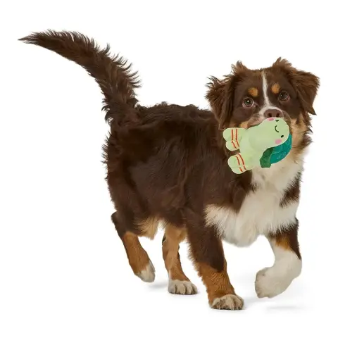 Tartaruga de Peluche para Cachorros