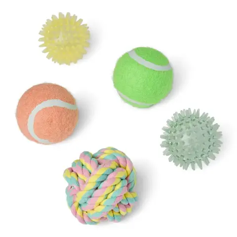 Bolas Sortidas para Cachorros (embalagem de 5)