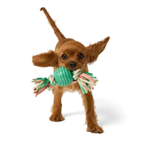 Bola Texturada com Corda para Cachorros