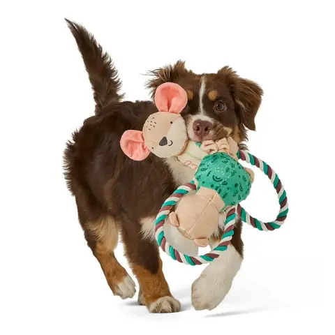 Raposa e Ouriço com Corda para Cachorros