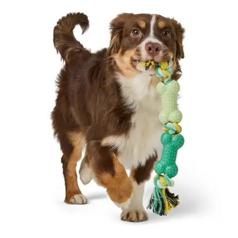 Osso em Corda Texturado para Cachorros