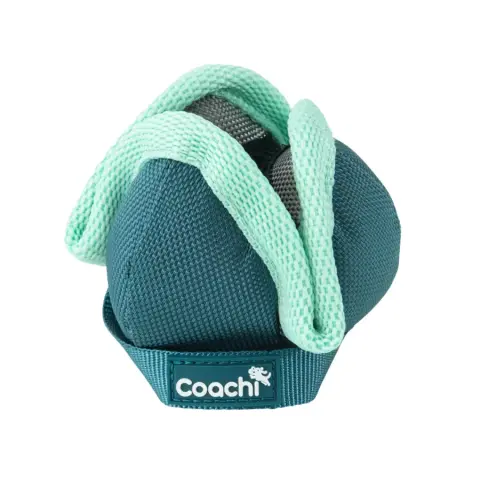 Coachi Chase & Treat para Cachorros e Cães Mini