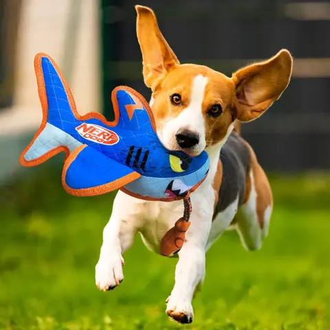 Nerf Dog Tubarão Resistente com Corda