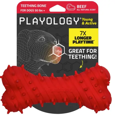 Playology Osso de Dentição Aroma Carne (jumbo)