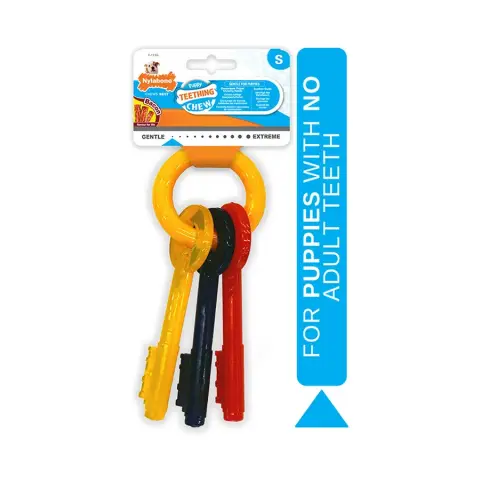 Nylabone Chaves de Dentição para Cachorros