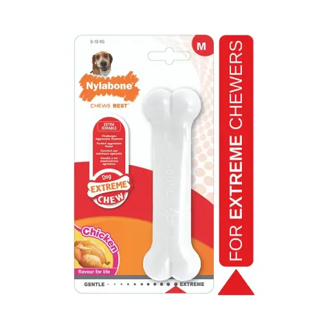 Nylabone Osso Sabor Frango