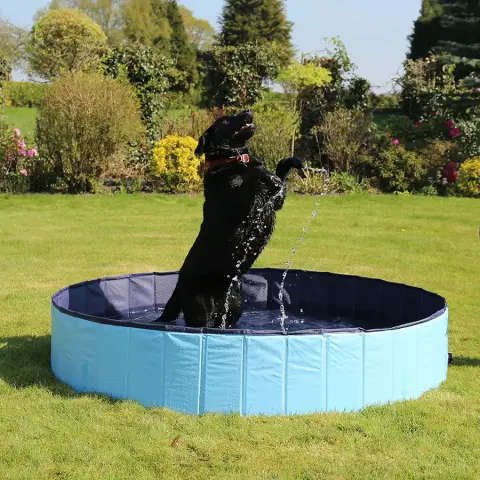 Rosewood Piscina Dobrável para Cães