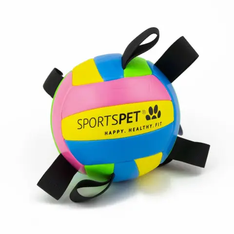 SportsPet Bola de Voleibol com Pegas