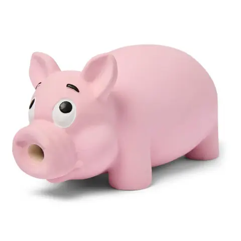 Porco em Látex com Buzina