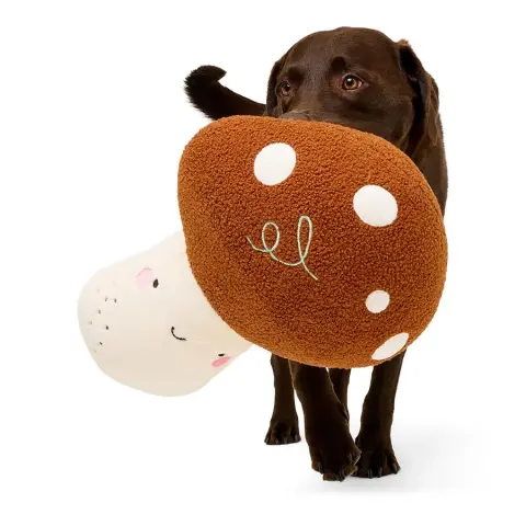 Cogumelo Gigante de Peluche